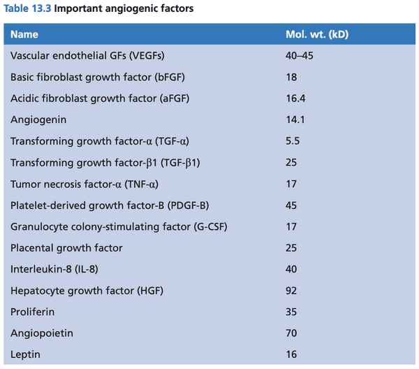 Important angiogenic factors.