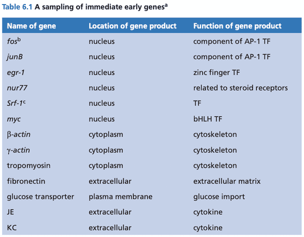 A sampling of IEGs, including fos, myc, jun.